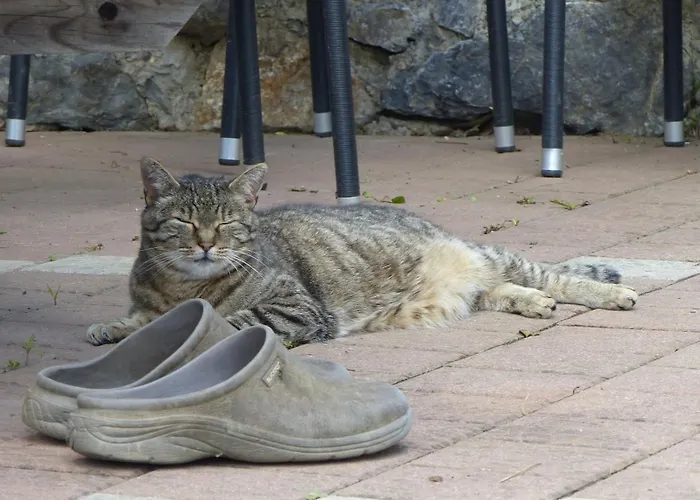 فندق مبيت وإفطار Blatterlhof Thal (Graz-Umgebung)