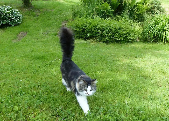 فندق مبيت وإفطار Blatterlhof Thal (Graz-Umgebung)